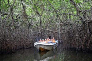 Madu River Boat