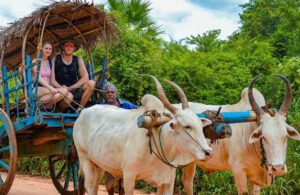 Village Tour Habarana