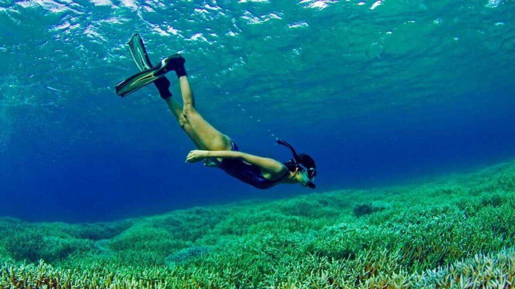 Snorkeling Sri Lanka