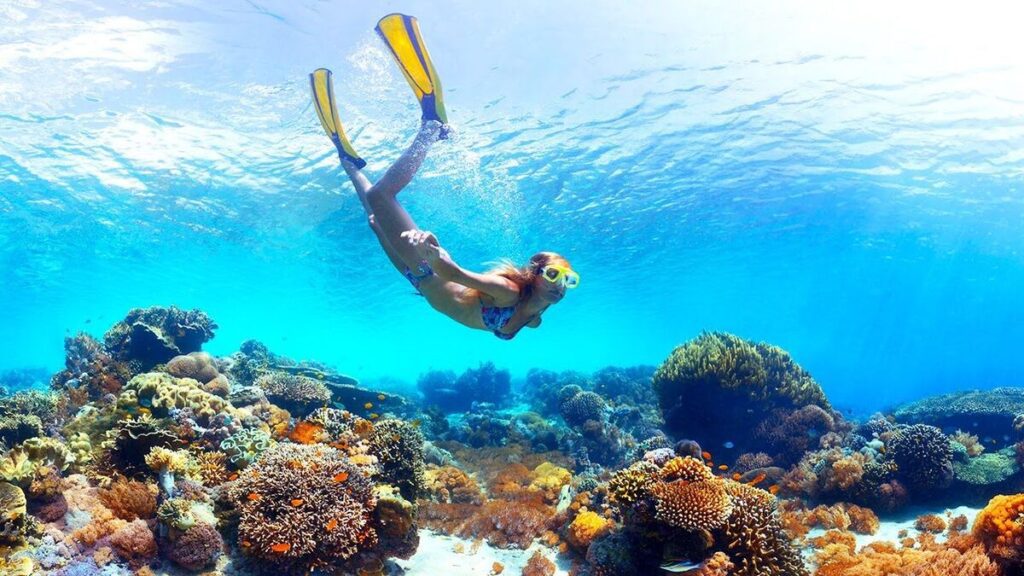 Snorkelling Sri Lanka
